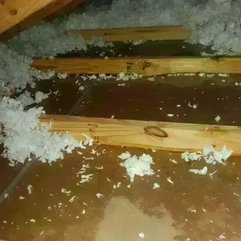 Attic Water Damage in Orland Hills, IL