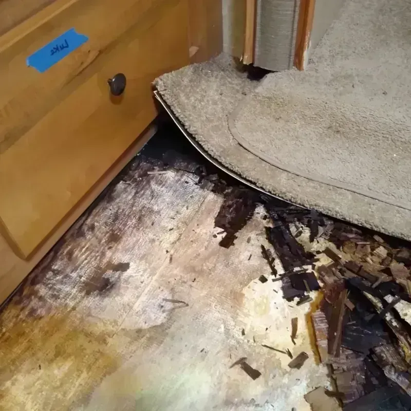 Wood Floor Water Damage in Orland Hills, IL